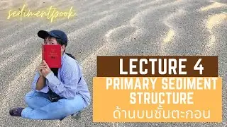 Lecture 4 : Primary Sedimentary structure (bedform and surface marking)