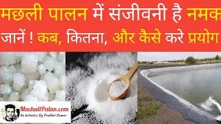 मछली पालन में नमक के जादुई प्रयोग ।। fish farming ki jankari @MachaliPalan prabhat kumar