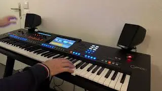 Interpretation of &bdquo;Skyfall&ldquo; (instrumental)