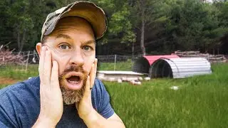 Is Homesteading Right for You?  What You Actually Need to Learn Will Surprise You!