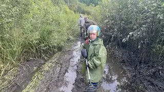 Quest find phone. Metal detector, test in real conditions