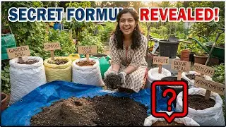 Best Soil Mix for Plants - How to Make the Perfect Potting Mix at Home