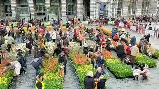 Tulpenpluk 2020