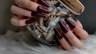 ASMR Tapping & Scratching | No Talking | Compilation