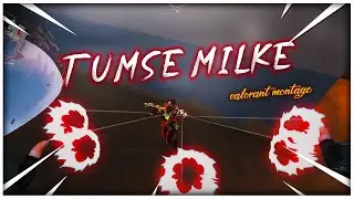 Tumse Milke💗(beat sync) | Indian song || Valorant montage#5