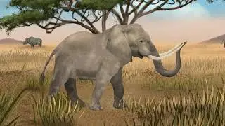 Serengeti 🐆🐘🦒 | Fun & Educational Animal Videos for Children | Malcolm's Garden