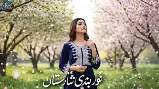 آهنگ جدید هزارگی نور بندی شاریستان new Hazaragi song norbande sharestan #hazara #موسیقی #song 