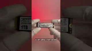 Что случилось с SSD M.2 Patriot Viper VP4300 Lite спустя год? ТГК: InterShop