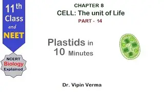 Plastids &ndash; Types, Functions & Examples | Cells: The Unit of Life Part - 14 | NCERT Biology NEET