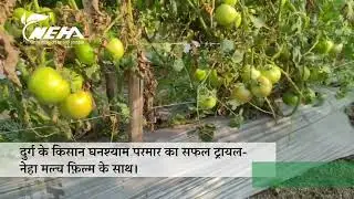 घनश्याम परमार के खेत में Neha Mulch Film का चमत्कार  Durg, Chhattisgarh