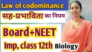 🔥Law of codominance (सह प्रभाविता का नियम)✅ class 12 biology// UP board exam 2026+ Neet //in Hindi 