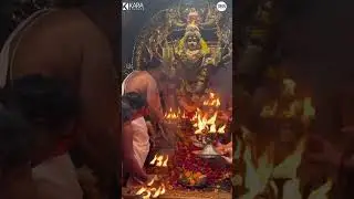 Durga Chalisa 🙏🌺 | Maa Durga Blessings #Shorts