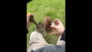 Daily Digs - What Is In The Hole Today? #metaldetecting #treasure #metaldetector #dailydigs