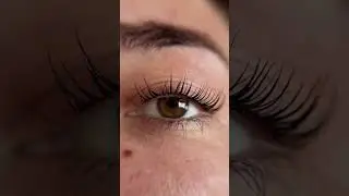 Watch the magic unfold in seconds! ✨ #lashliftkits #eyelashlift #lashperm