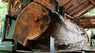 Discover the secret behind the SUPER extraordinary saw blade in processing the hardest wood
