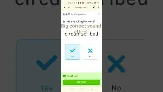 The new big and long correct sound effect on Duolingo