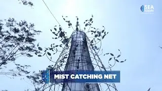 Mist Catching Net