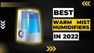 Best Warm Mist Humidifiers in 2023