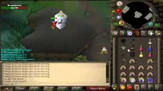 Doing some dh bridding pvp worlds etc