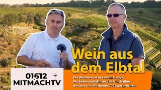 01612MitmachTV - Weinlese 2021 s&auml;chsische Elbweind&ouml;rfer - Mei&szlig;ner Wein - Weingut Jan Ulrich