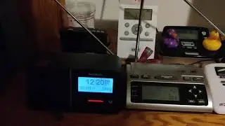 Flash Flood Warning (EAS #1195)
