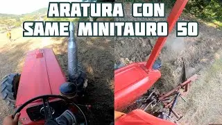 Aratura festa della trebbiatura 2025 - Gremiasco (AL)