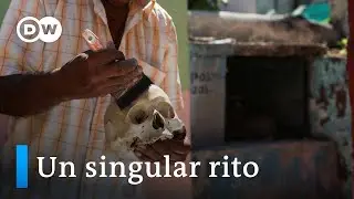 En Pomuch las familias se re&uacute;nen para limpiar los huesos de sus difuntos en el D&iacute;a de Muertos