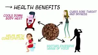 Spices-101 Explained - Malva Nut / Bunga Kembang Semangkuk