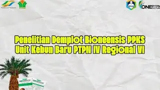 Penelitian Demplot Bioneesis PPKS di Unit Kebun Baru Regional VI November 2025