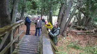 Bruce Trail - Dufferin Hi-Land Section