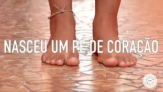 PÉ DE CORAÇÃO - MÚSICA EM FAMÍLIA - PARA CANTAR JUNTOS