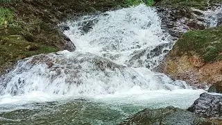 River Water Sounds ASMR for Deep Sleep | Peaceful Nature Ambience