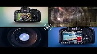 Photography Captures - Logo ( After Effects Project Files) | OMER J GRAPHICS
