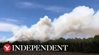Surrey fire: Major incident declared over large blaze at Hankley Common