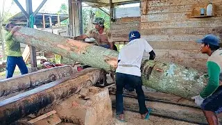 Crafting Perfection The Secrets Behind a Sawmill Operator's God Level Skills