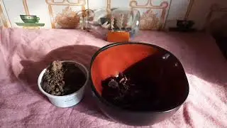 DIY hibiscus and black soap shampoo |clarifying shampoo
