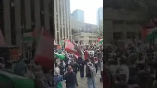 Pro Palestine protester rally in Toronto city Hall.