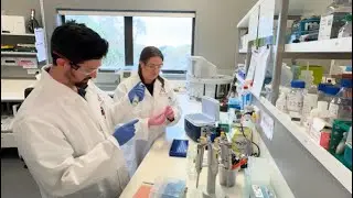 Could a forgotten vaccine help us fight both ancient diseases and modern threats?