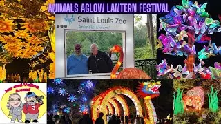 Experience The Magic : Animals Aglow Lantern Festival At St Louis Zoo