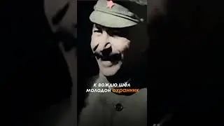 Что стало с охранником который сделал замечание Сталину? #shorts #сталин #ссср