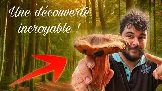 Je TROUVE la R&Eacute;COMPENSE du MYCOLOGUE ! 