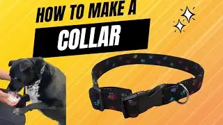 Easy DIY: Sew a Unique Collar for Your Pet Dog/Cat