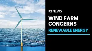 Offshore wind farm off NSW coast faces strong opposition | ABC News