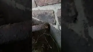 Basement waterproofing diagonal crack poured wall previously done