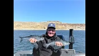 Cosa usa Don Allphin per pescare il salmone Kokanee a Flaming Gorge nel 2022