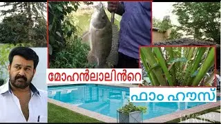മോഹൻ ലാലിൻ്റെ ഏലത്തോട്ടത്തിൽ ഒരു മീൻപിടുത്തം
