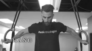 Zendragon Promotional video