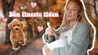 koselig høstvlog - baker sunn kake, valpetreff & tester ut en ny krøllemetode