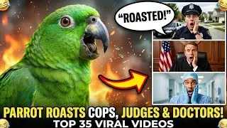 &ldquo;World&rsquo;s Funniest Parrot ROASTS Everyone 😂 Police, Judges & Doctors EXPOSED!&rdquo;