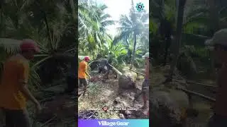 This Tree-Catching Wheelbarrow Trick is PEAK Big Brain Energy! 😂 Work Smarter, Not Harder! #tree